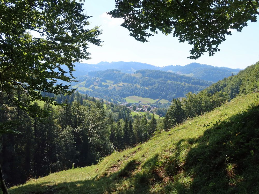 Blick Richtung Lichtensteig