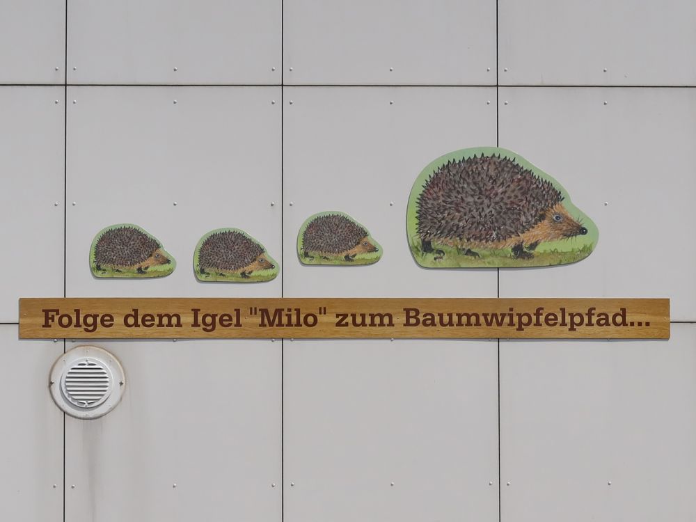 Igel Milo