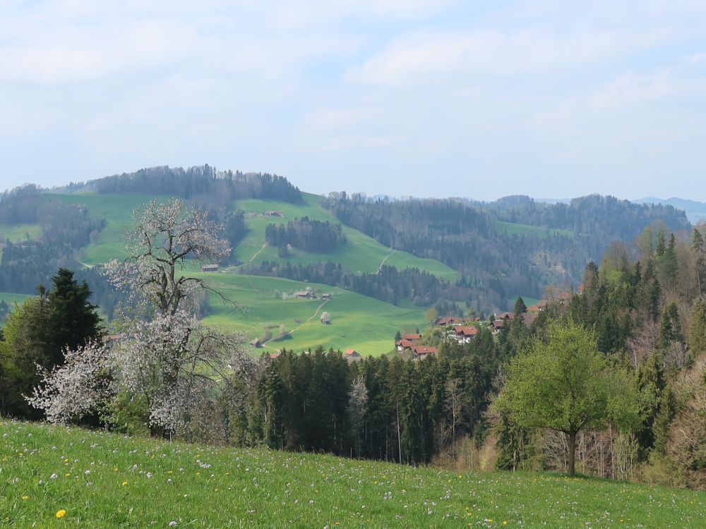 Blick Richtung Freudenberg