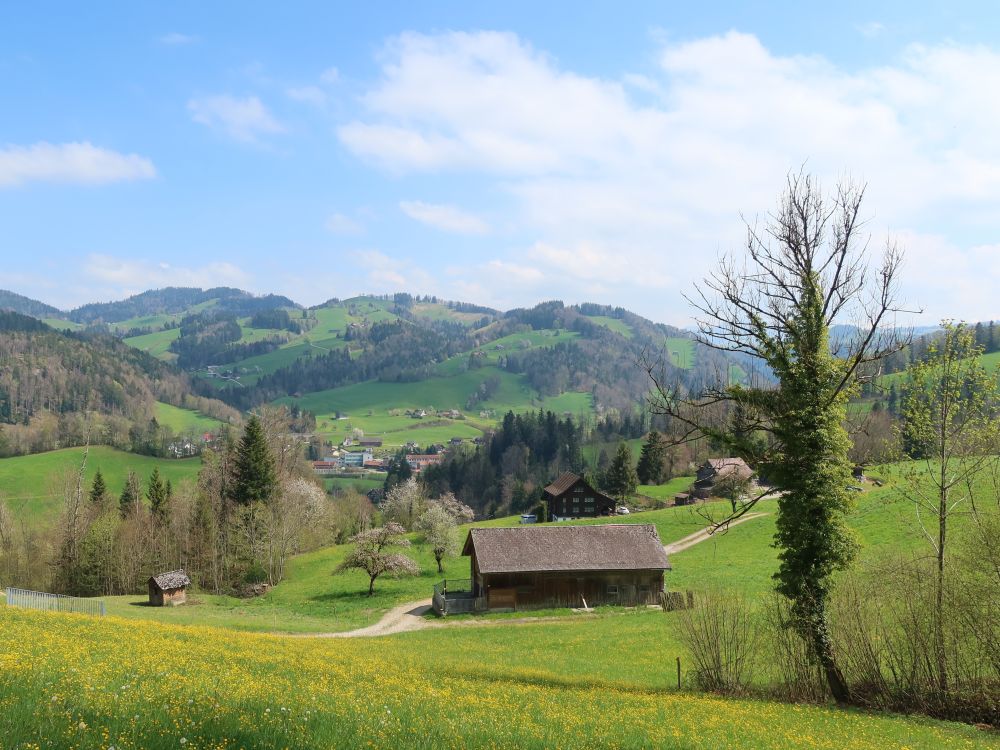 Blick Richtung Necker