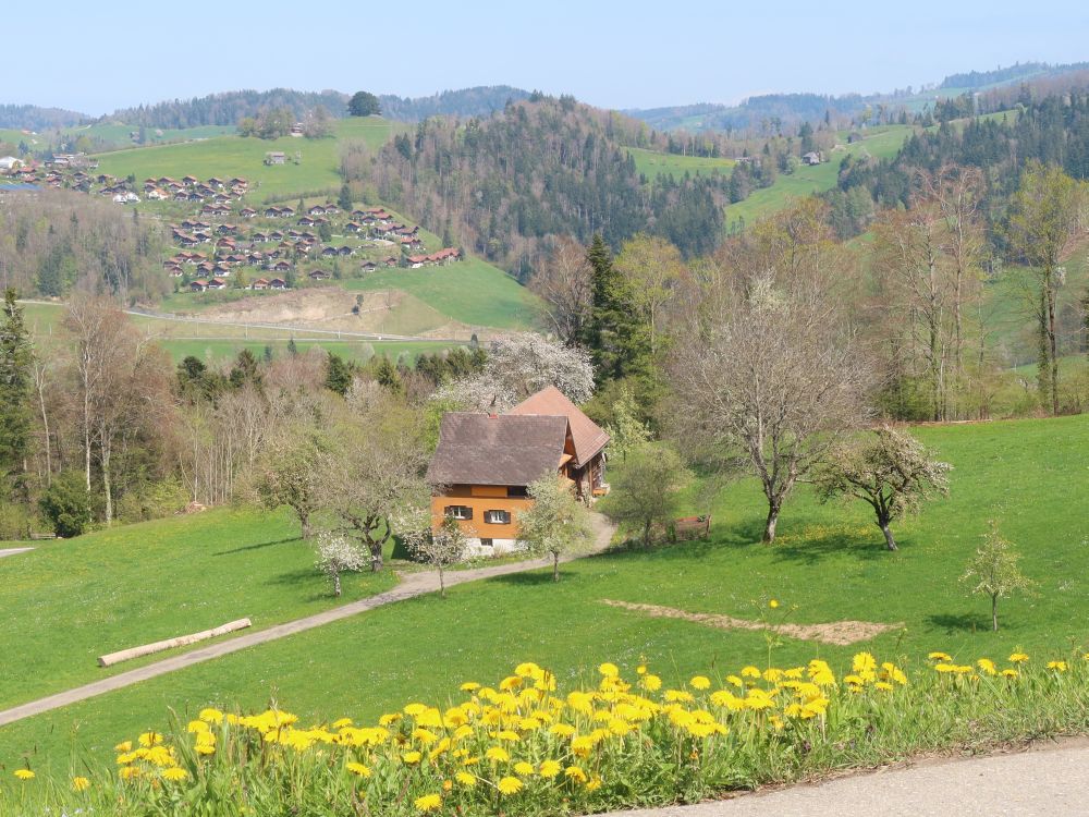 Blick Richtung Mogelsberg