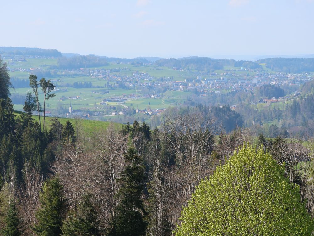 Lütisburg und Bazenheid