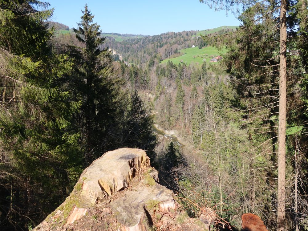 Blick ins Neckertal