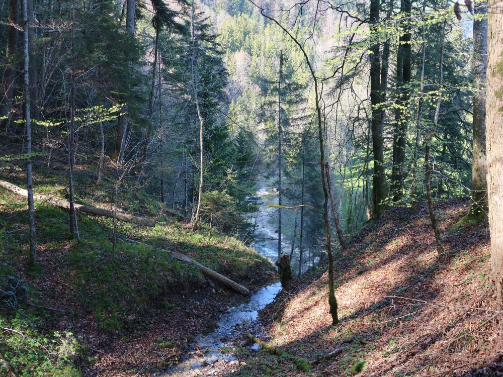 Blick ins Neckertal
