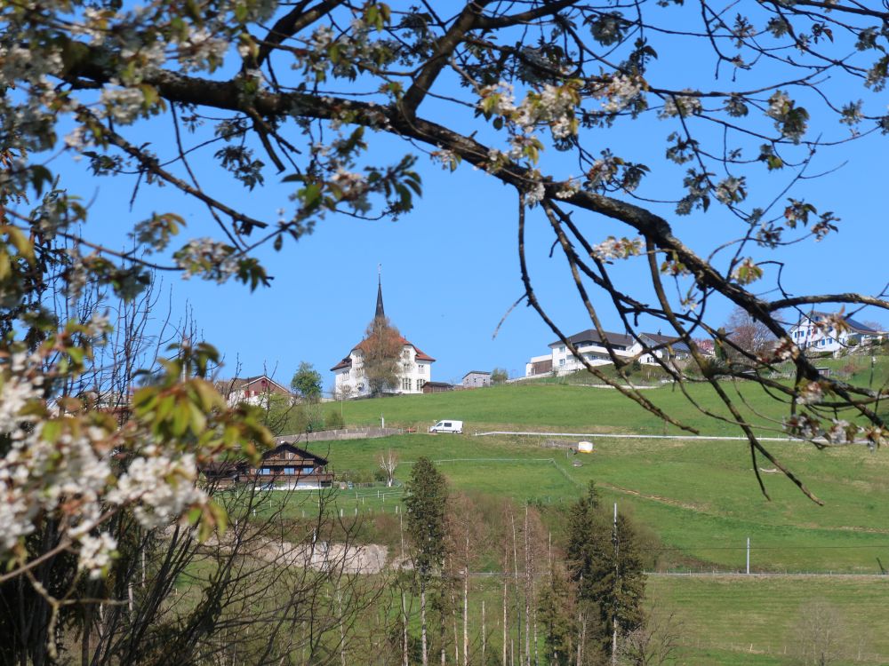 Mogelsberg