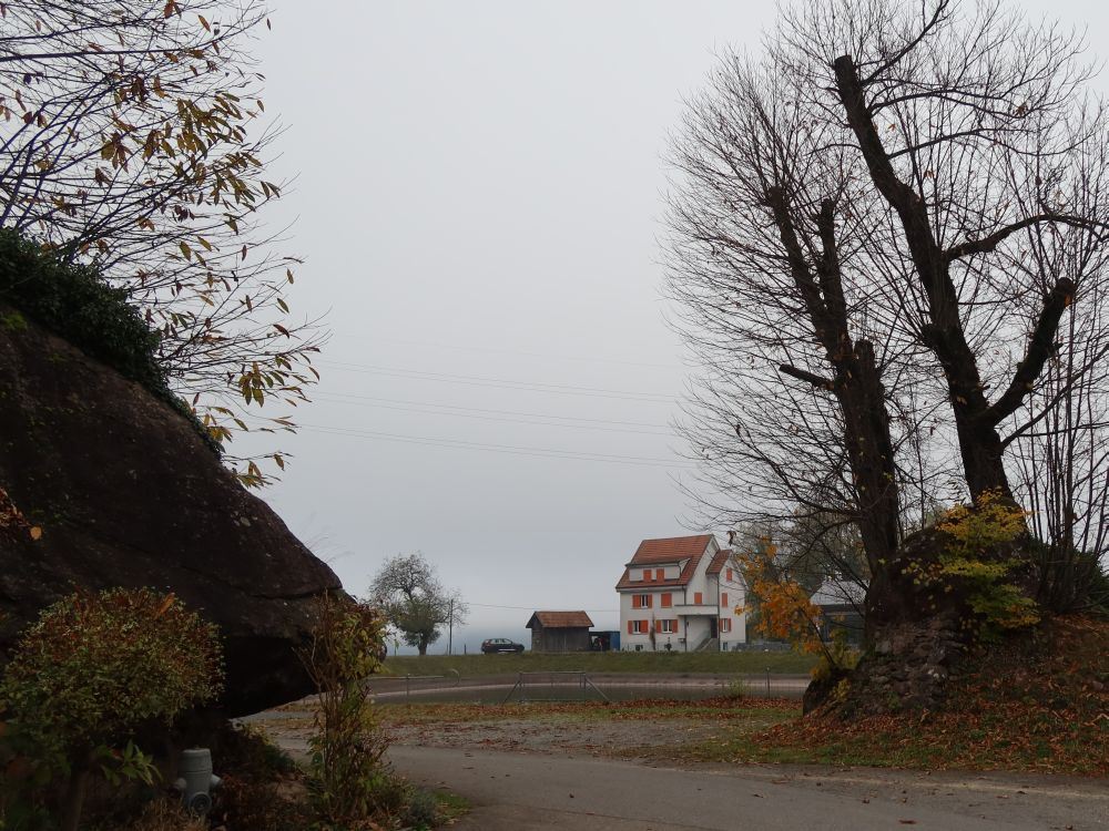 Weiher am Luchsberg