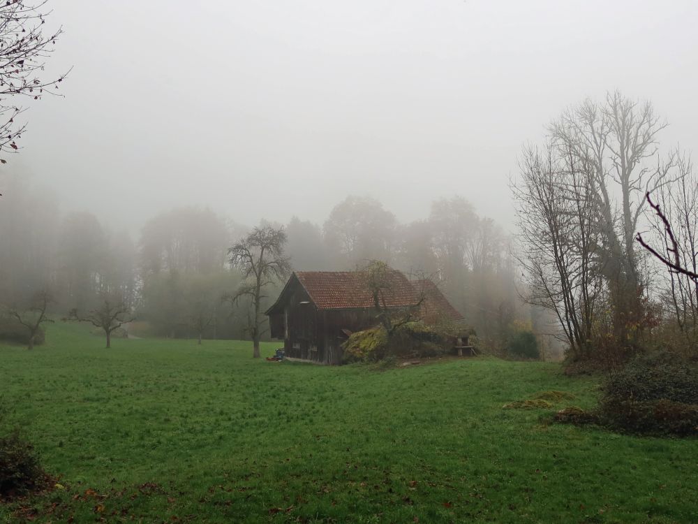 Scheune im Nebel