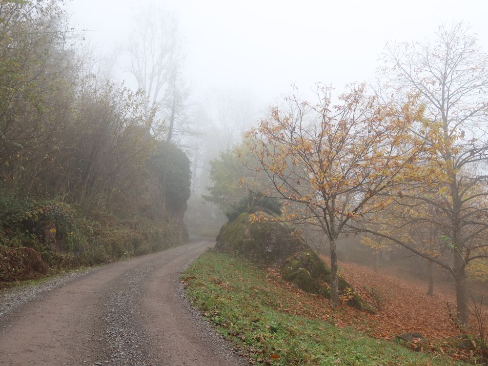 Weg im Nebel