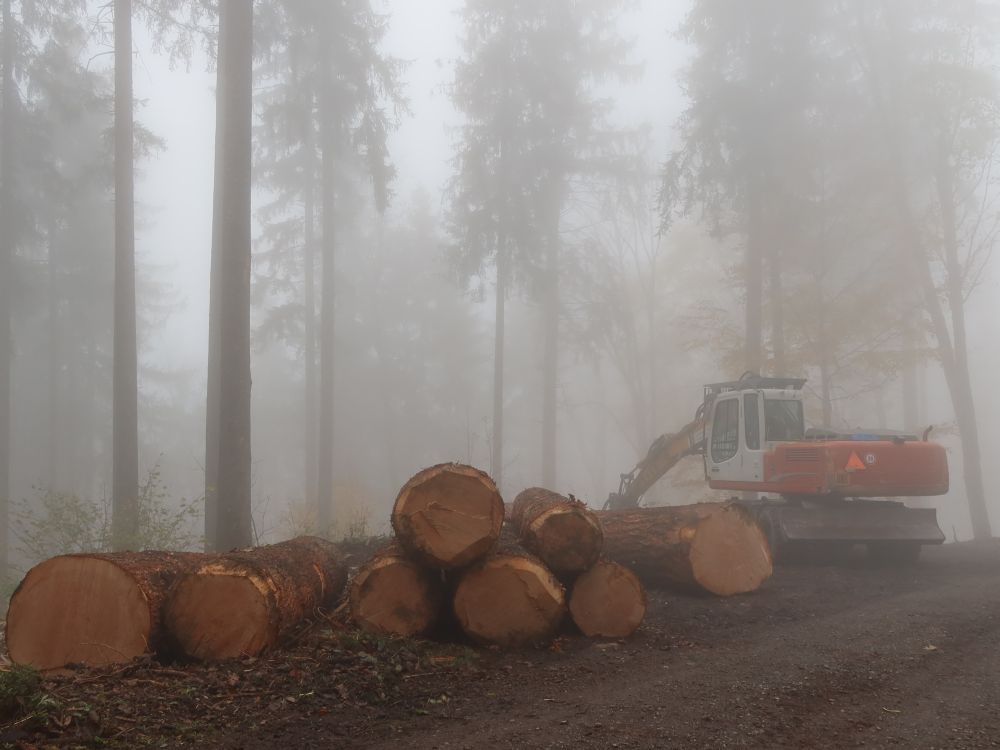 Holz und Bagger