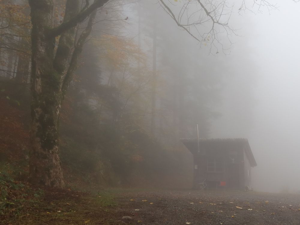 Schneelihüttli im Nebel