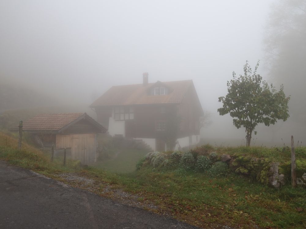 Haus im Nebel