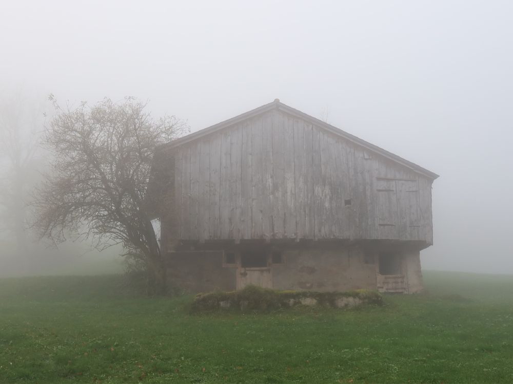 Stall im Nebel