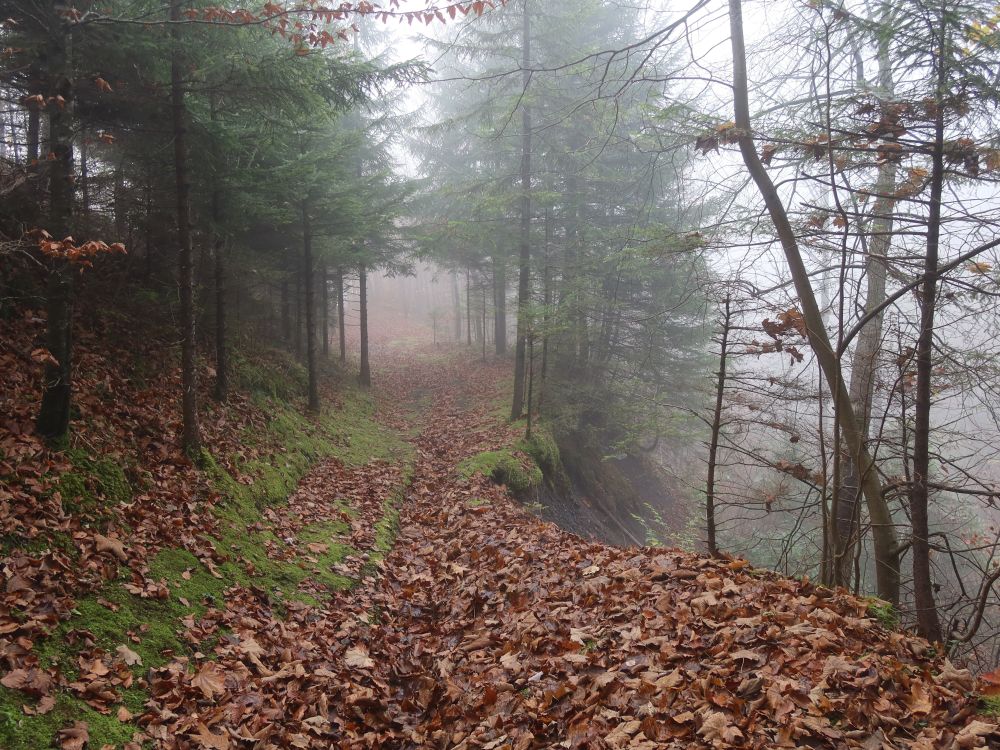 Waldweg