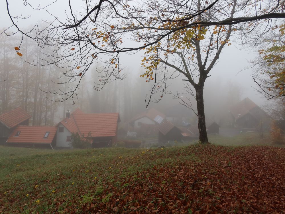 Geissegg im Nebel