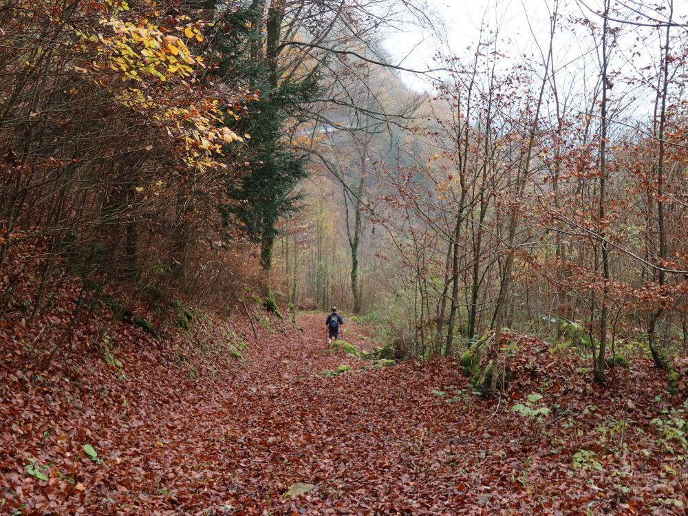 laubbedeckter Waldweg