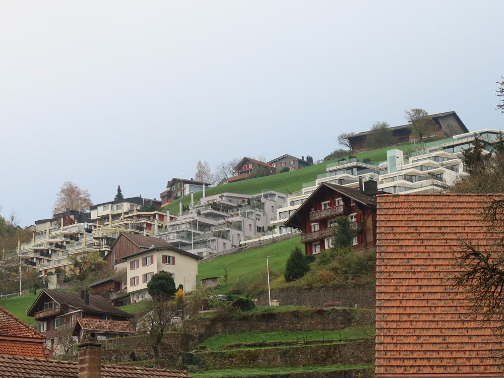 Terrassenhäuser über Mühlehorn