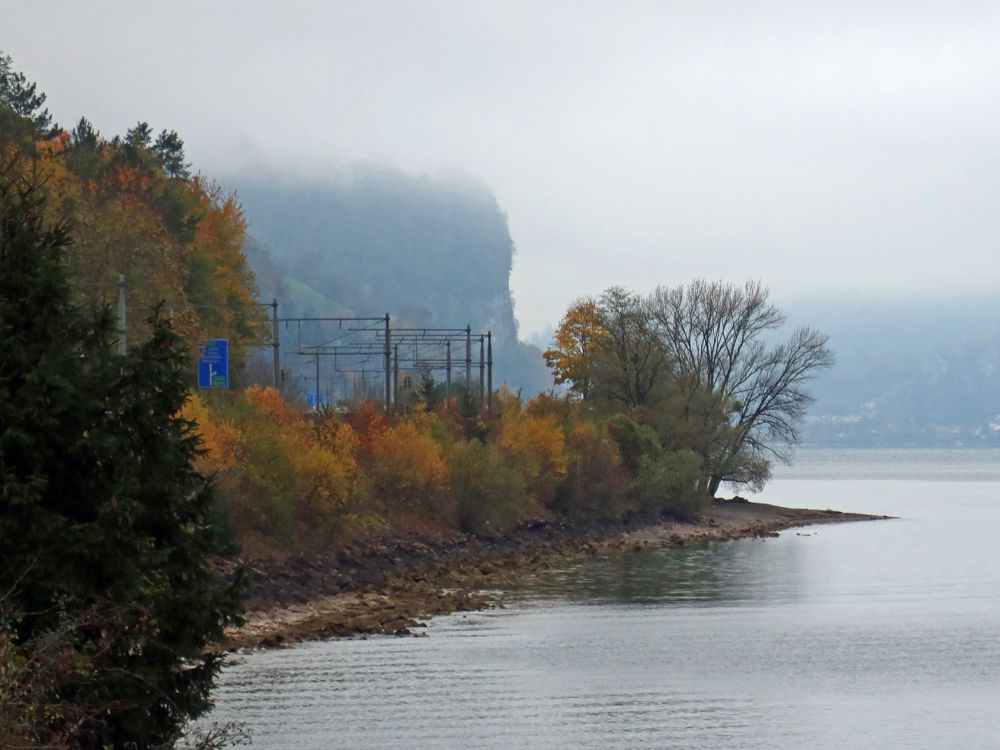 Seeufer und Fels im Nebel