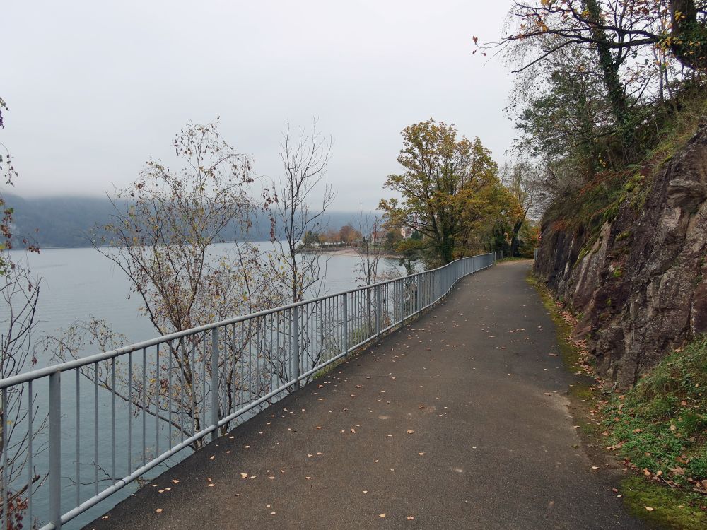 Fussweg am Walensee