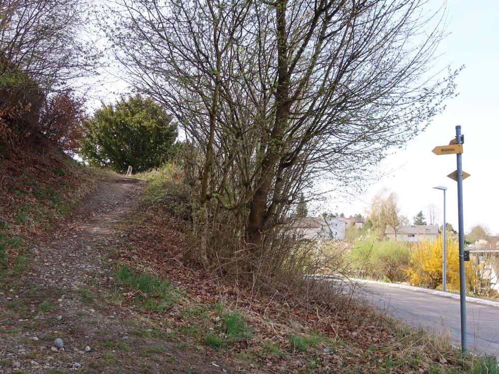 Abzweig vom Terrassenweg