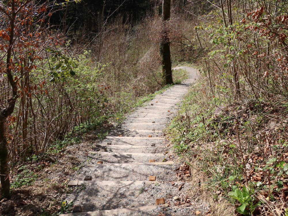 Treppe zum Bäntalbach