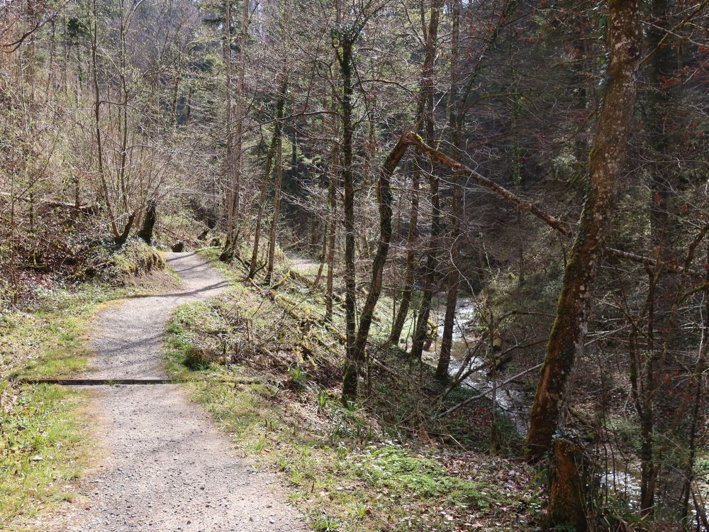 Pfad am Bäntalbach