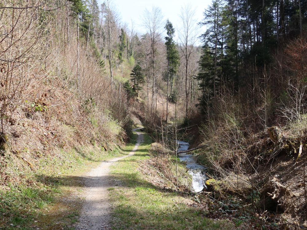 Pfad am Bäntalbach