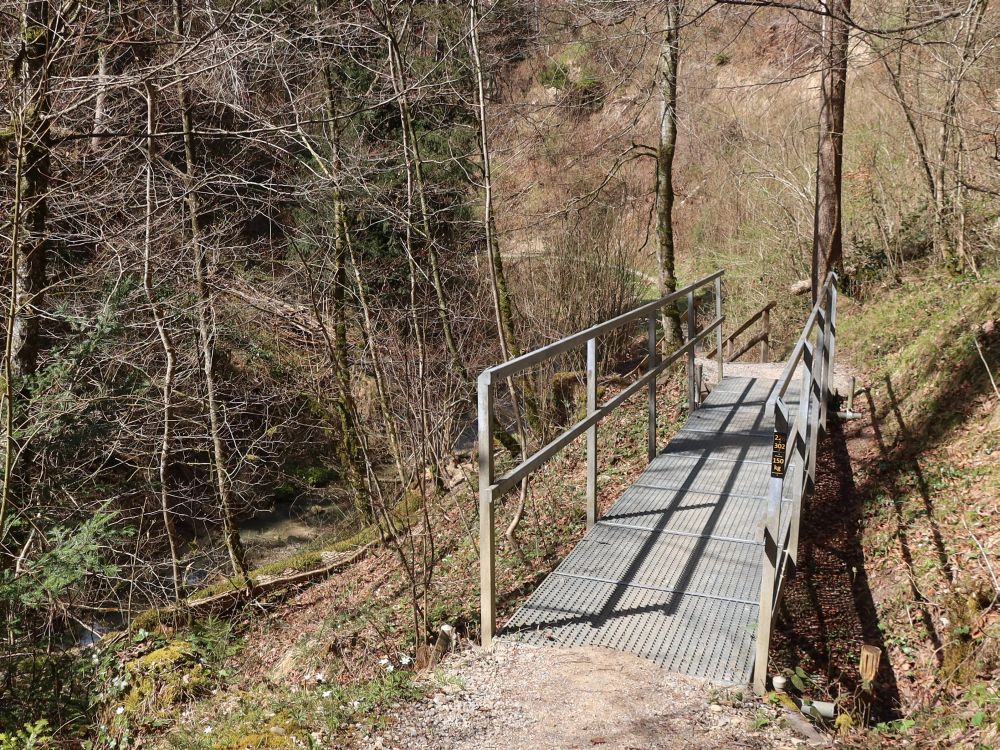 Steg im Röhrlitobel