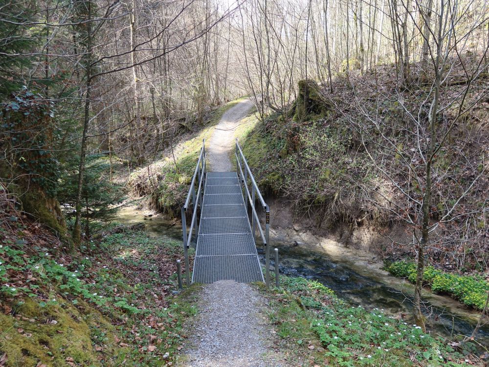 Steg im Röhrlitobel