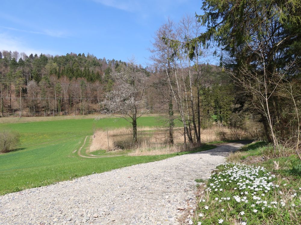 Weiher im Heitertal