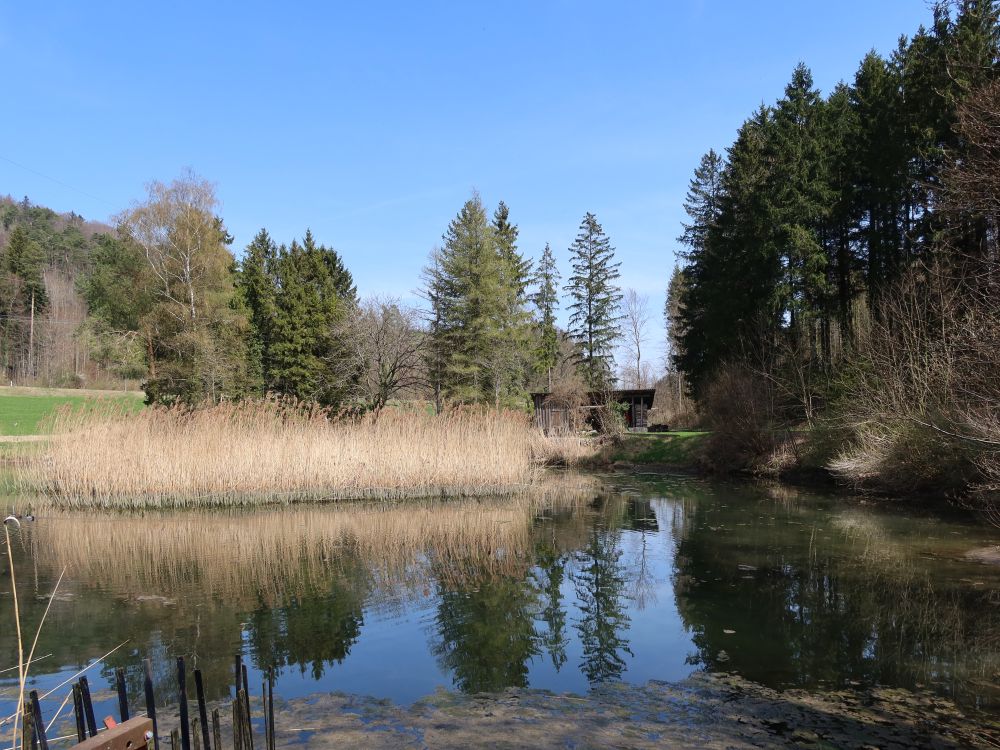 Weiher im Heitertal