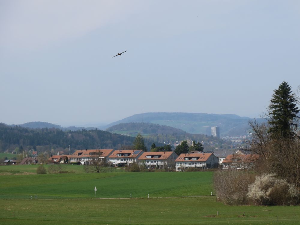 Blick Richtung Winterthur