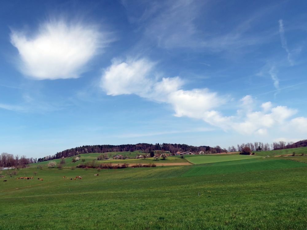 Wolken über Eidberg