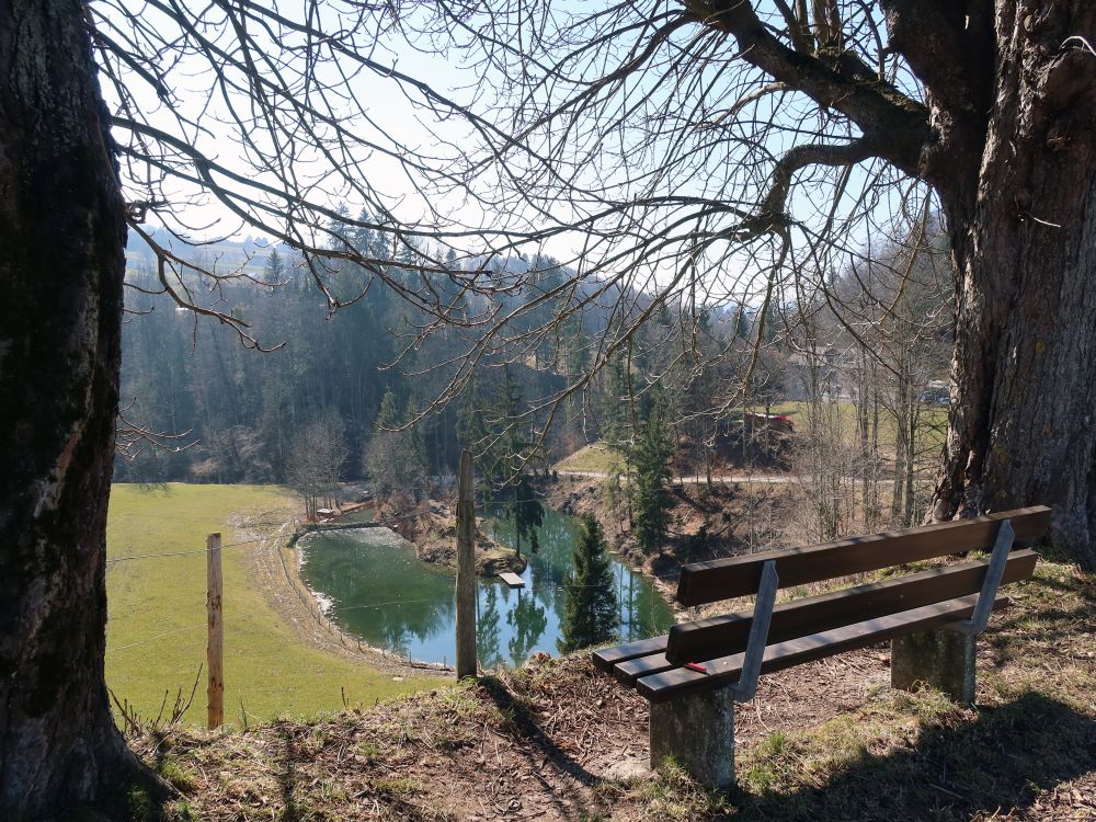 Teich bei Marstal