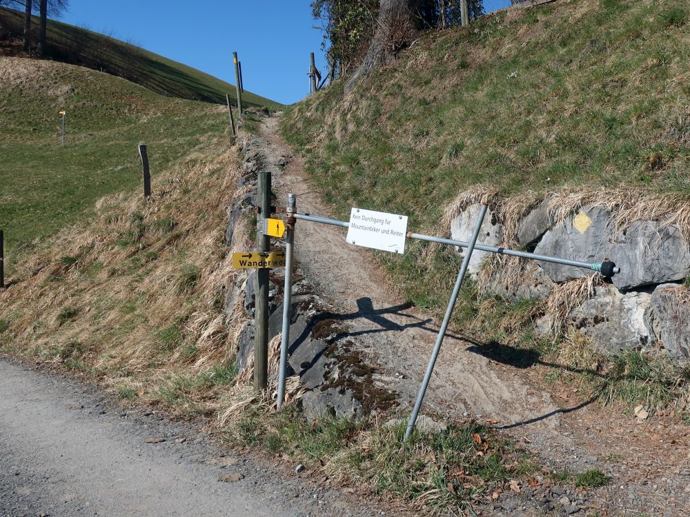 Wanderpfad bei Marstal