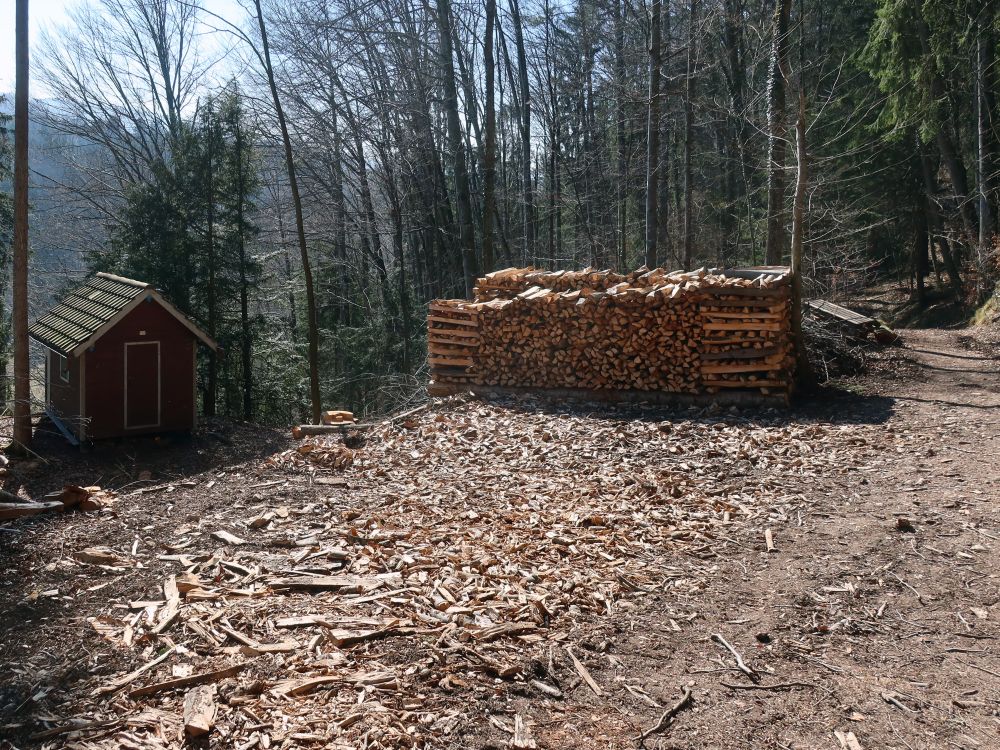 Hütte und Holzstapel