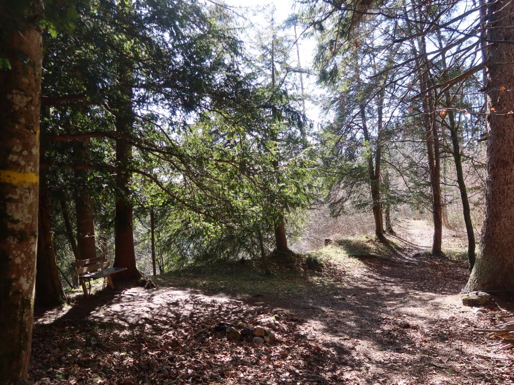 Waldweg