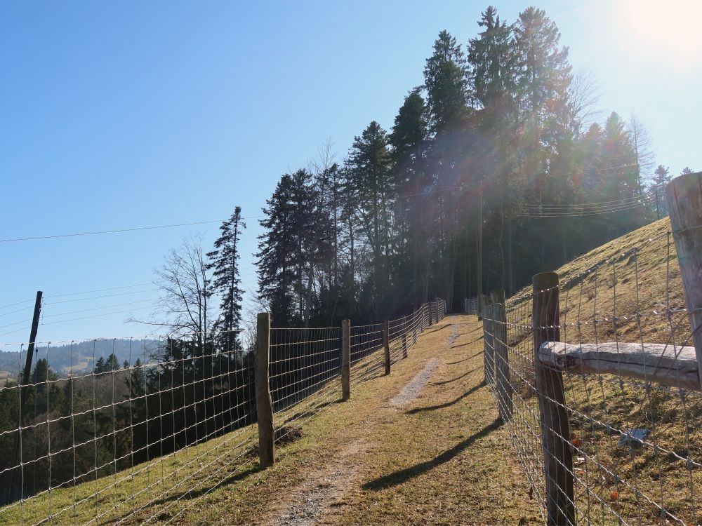 Wanderweg über Tobelmüli