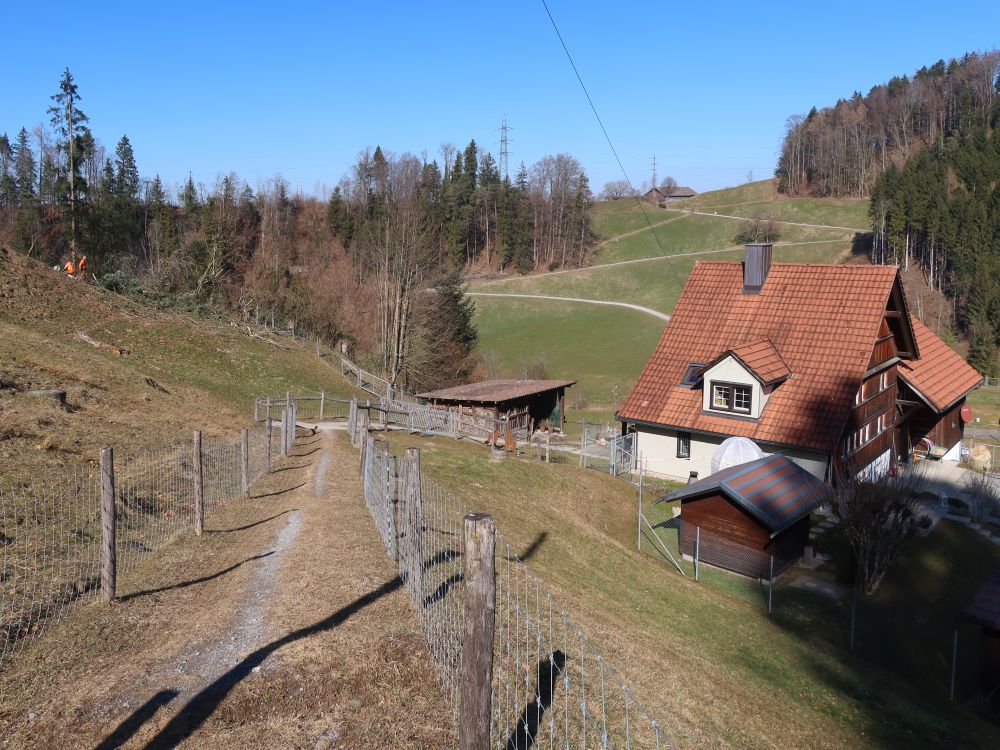 Wanderweg über Tobelmüli