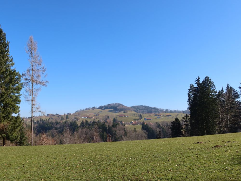 Blick über den Tobel