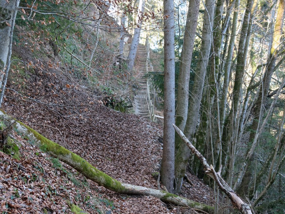 Holztreppe