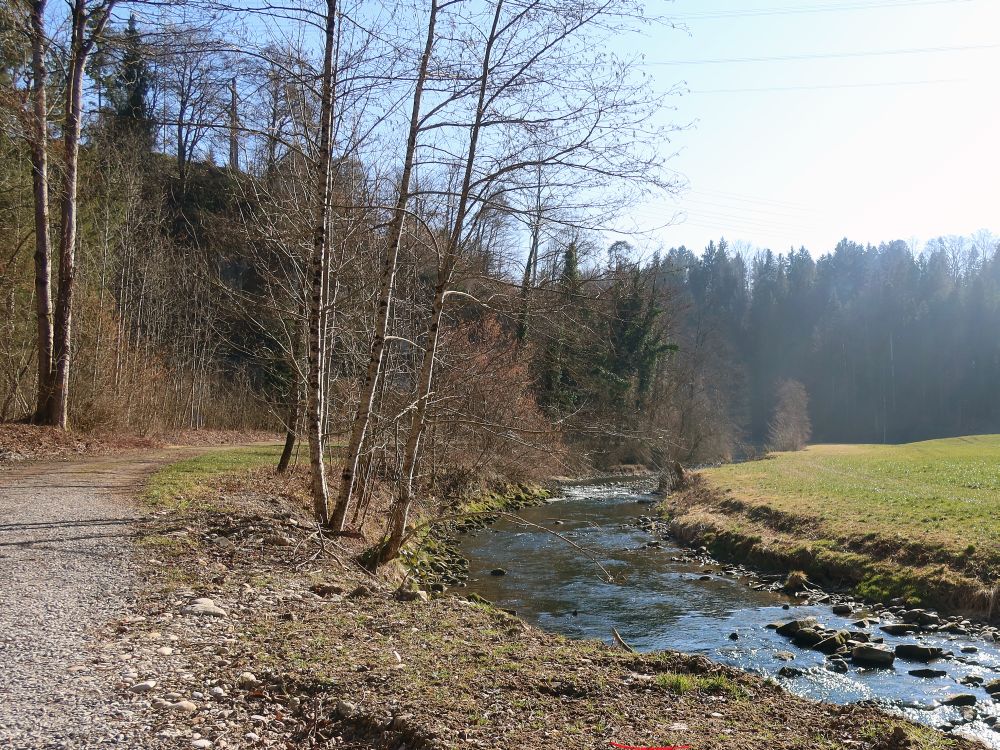 Weg an der Glatt