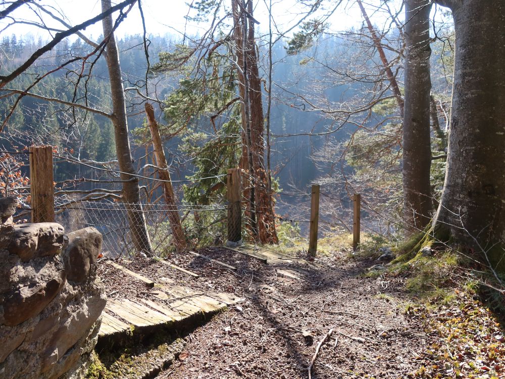 Zaun bei Ruine Helfenberg