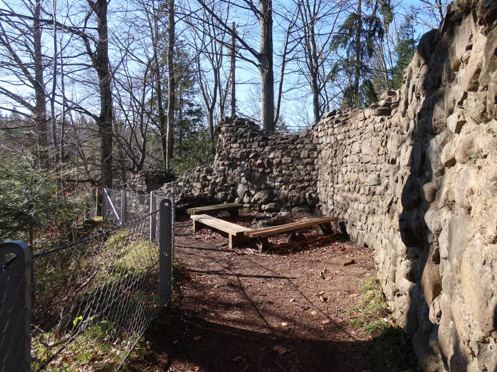 Ruine Helfenberg