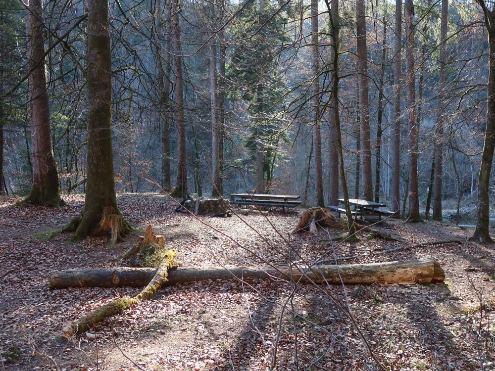 Grillstelle bei der  Salpeterhöhle