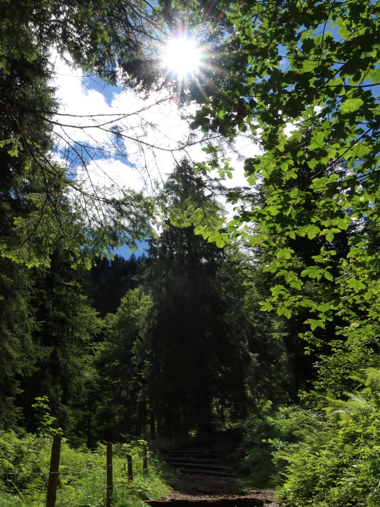 Treppe im Gegenlicht