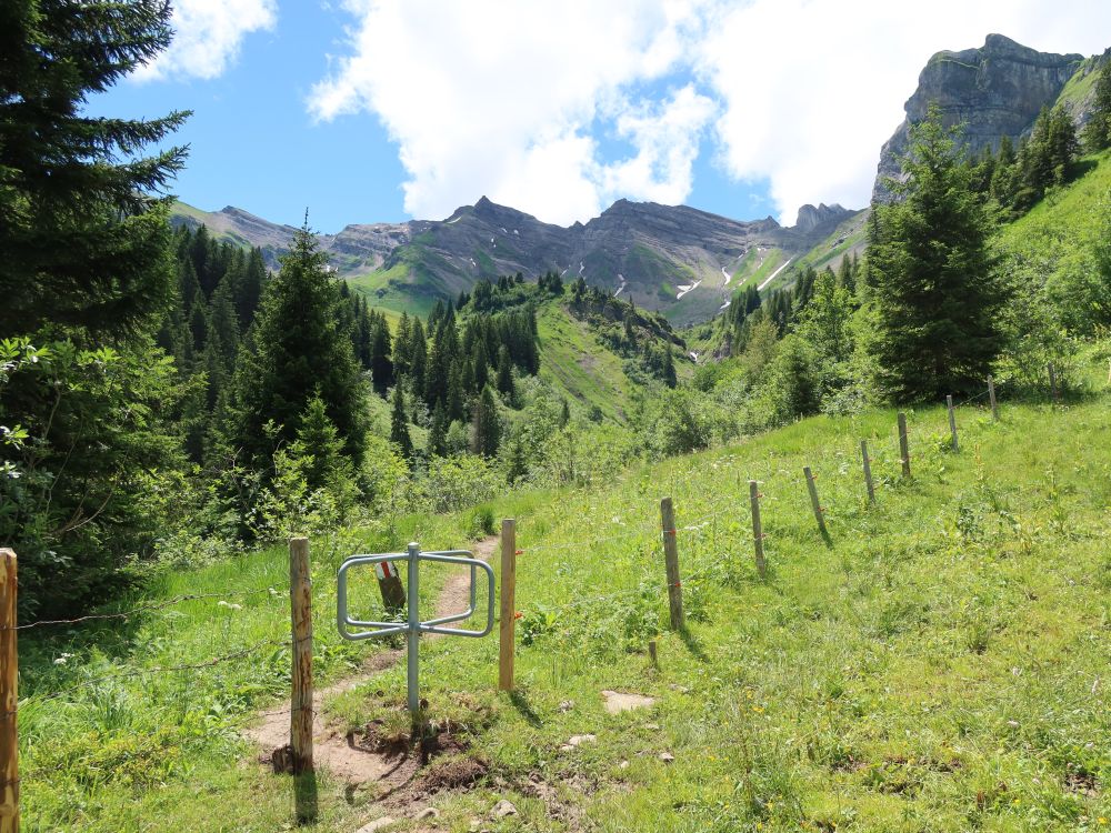 Drehkreuz und Rütistein