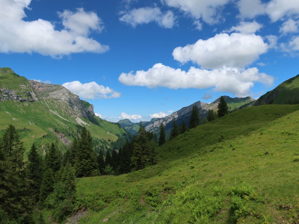 Sihltal und Gross Aubrig