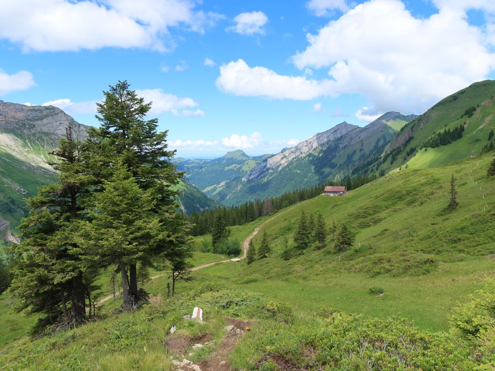 Sihltal und Gross Aubrig im Hintergrund