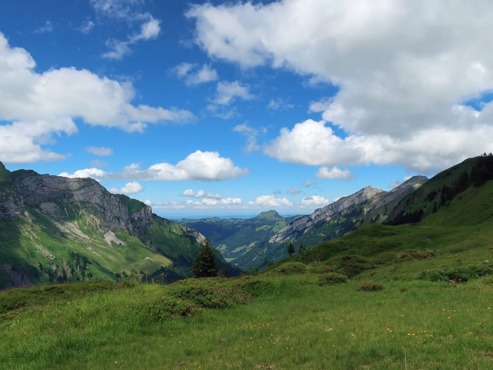 Sihltal und Gross Aubrig im Hintergrund