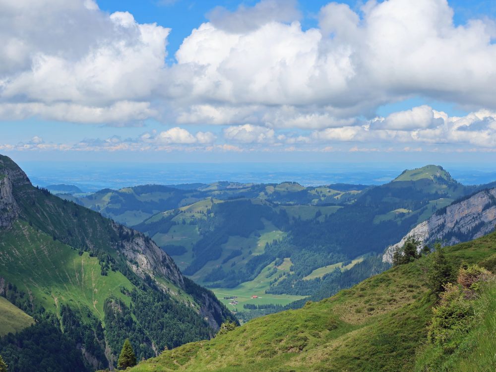 Blick in Sihltal und zum Gross Aubrig